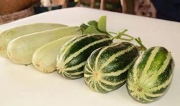 网红免费吃瓜地址,揭秘网红免费吃瓜背后的秘密地址大公开